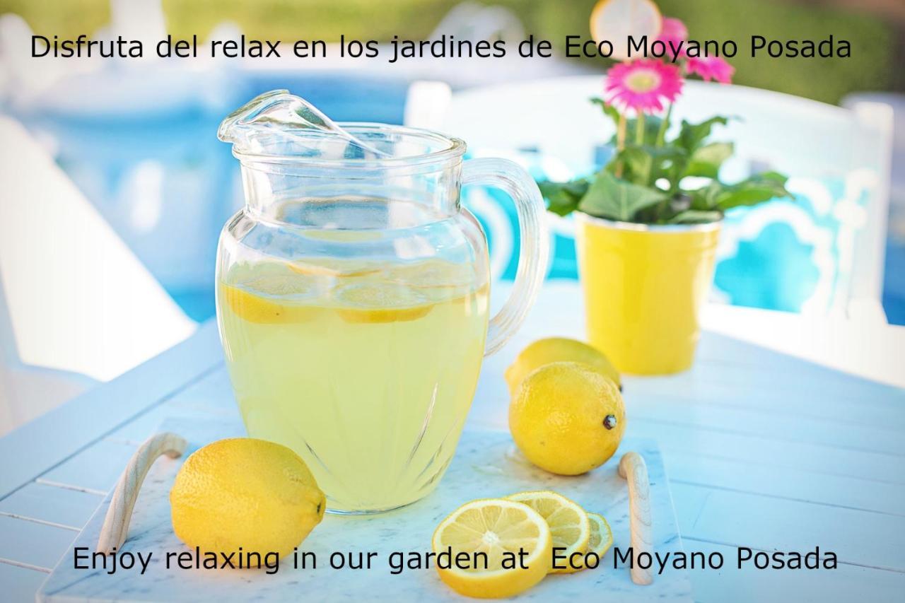 Eco Moyano Posada Gaucín Zewnętrze zdjęcie